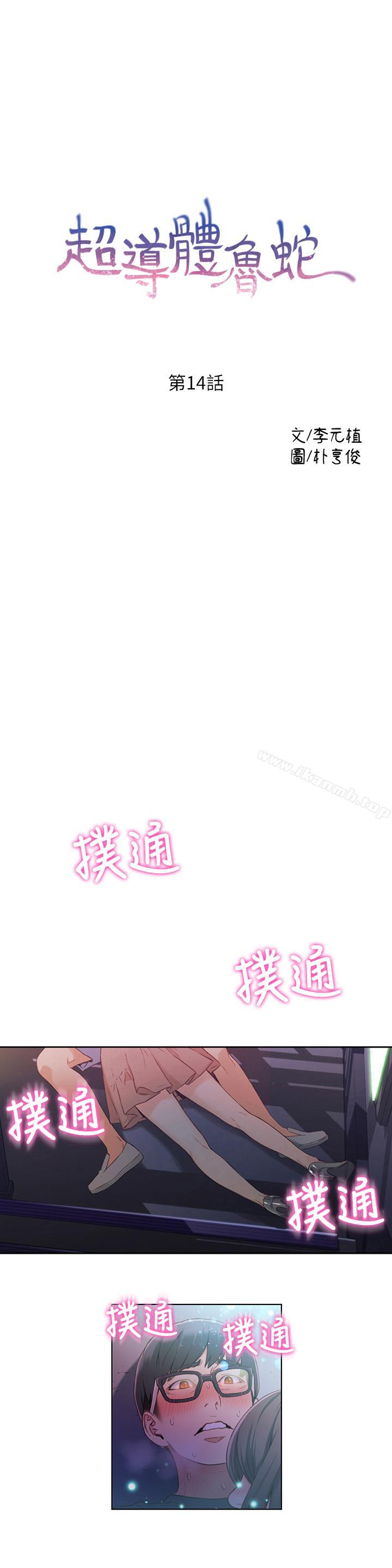 1P - 超导体鲁蛇