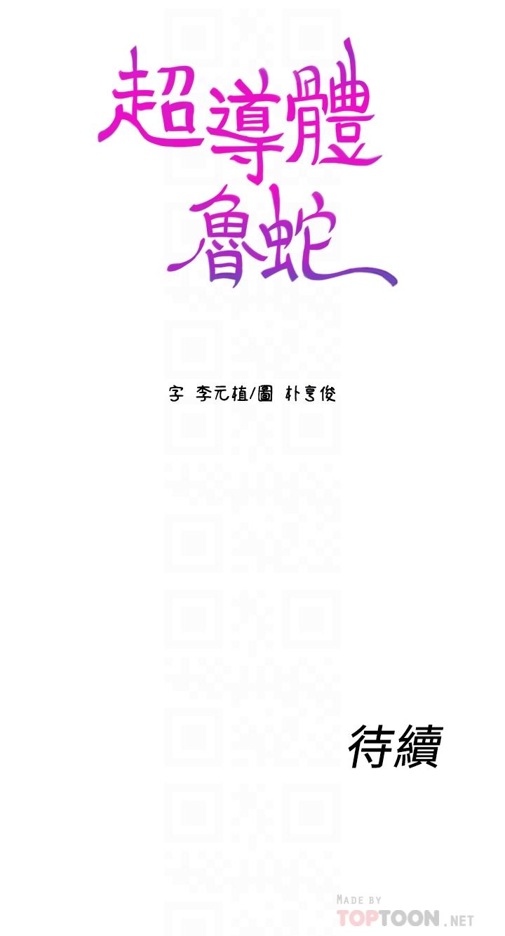 18P - 超导体鲁蛇