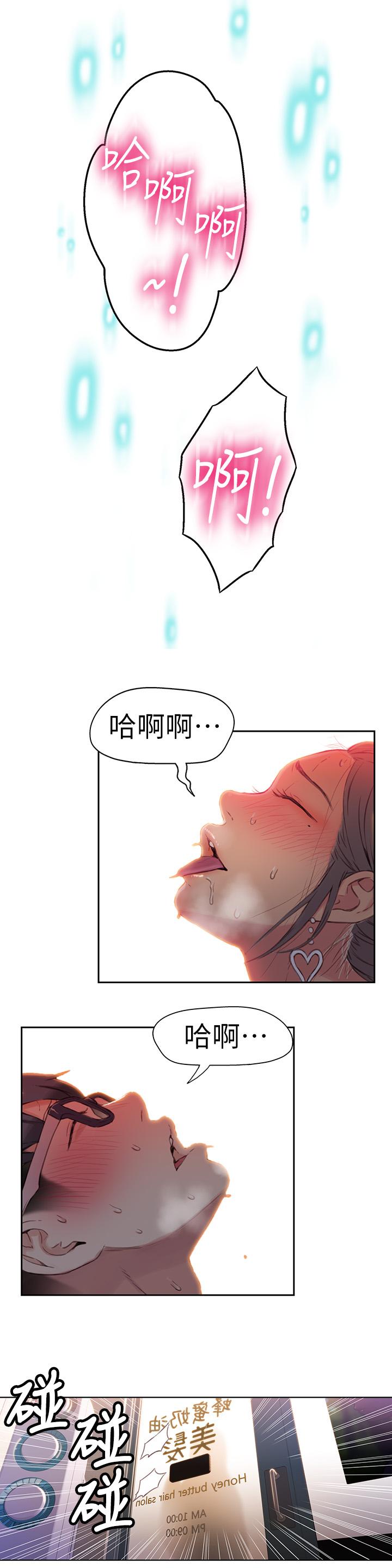 17P - 超导体鲁蛇