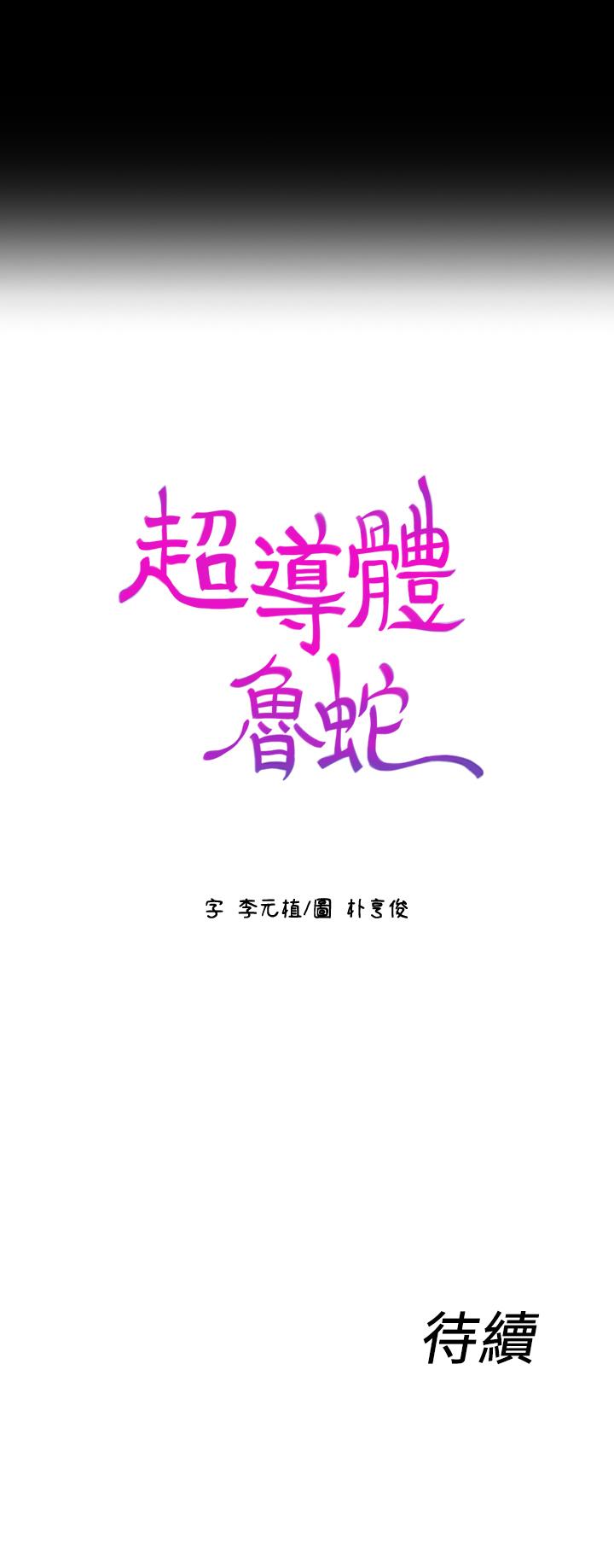 21P - 超导体鲁蛇