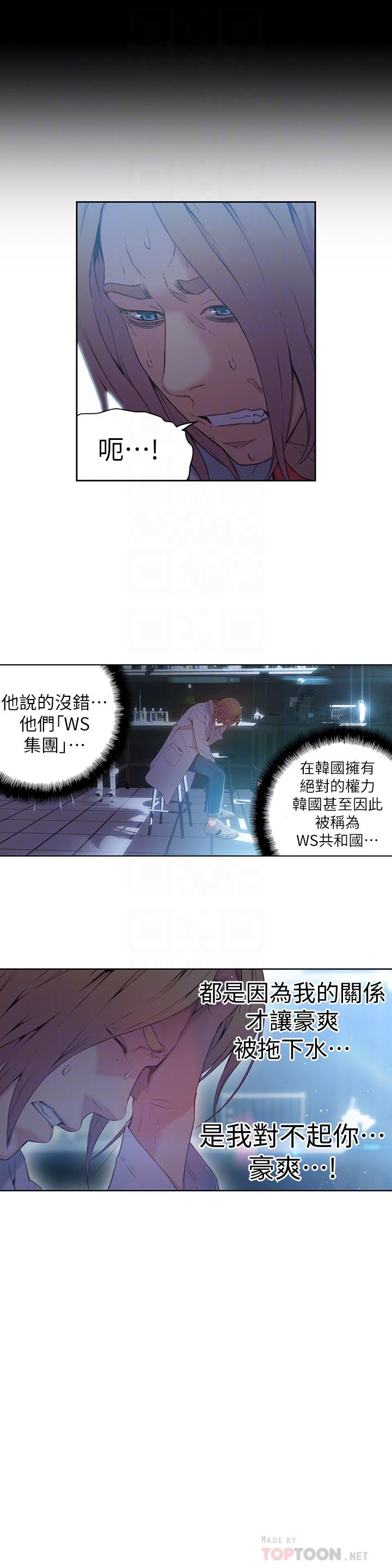 14P - 超导体鲁蛇