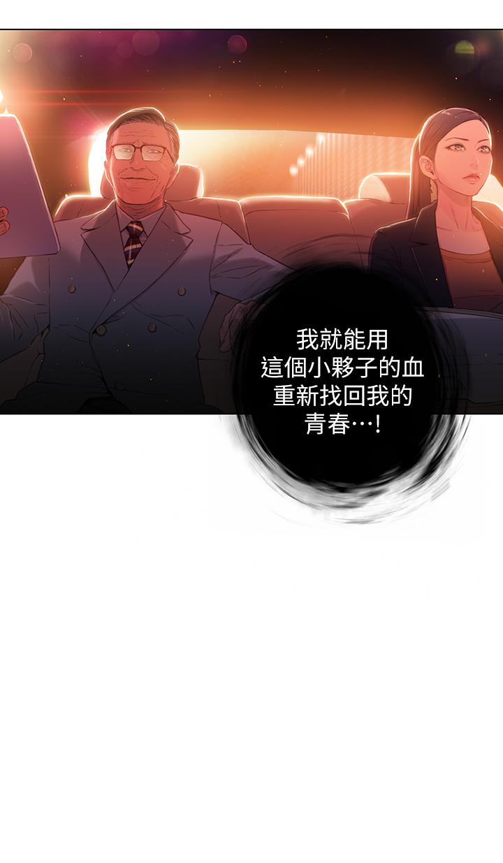 19P - 超导体鲁蛇