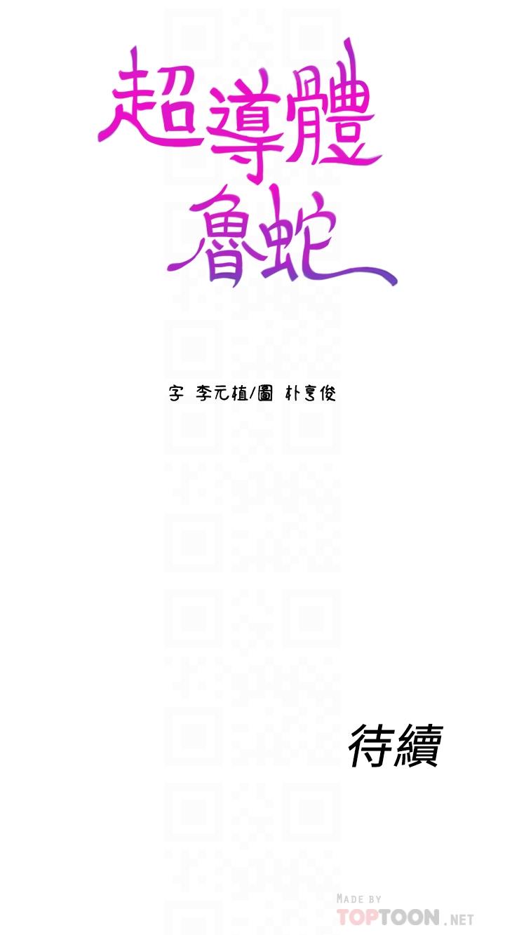 18P - 超导体鲁蛇