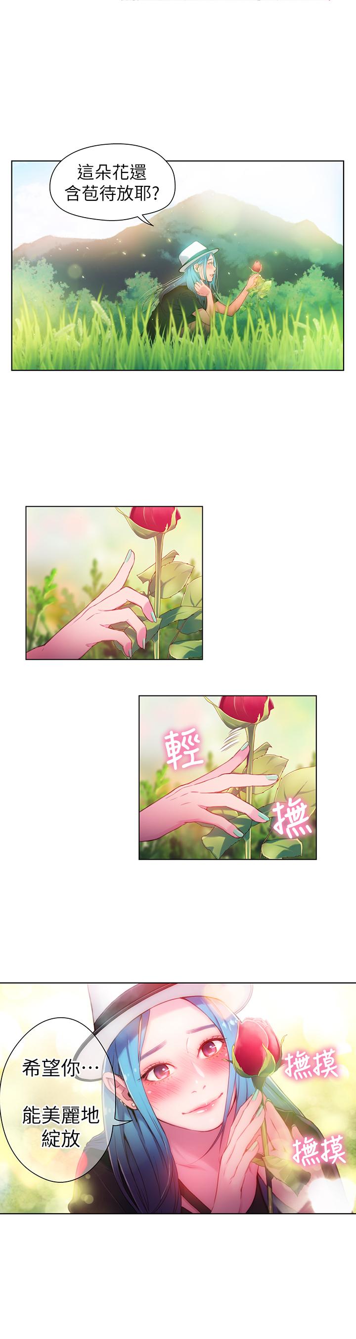13P - 超导体鲁蛇