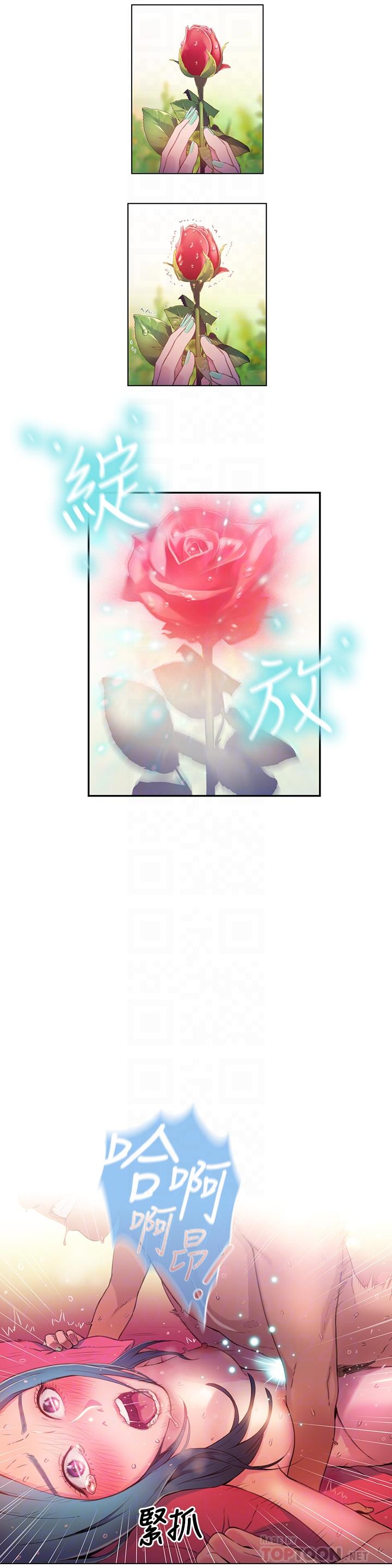 14P - 超导体鲁蛇