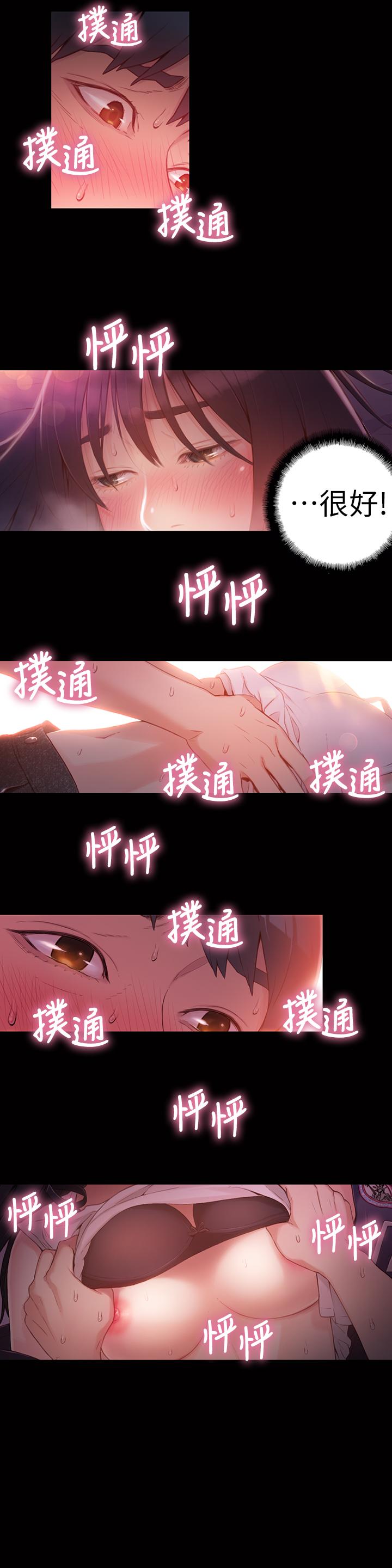 5P - 超导体鲁蛇