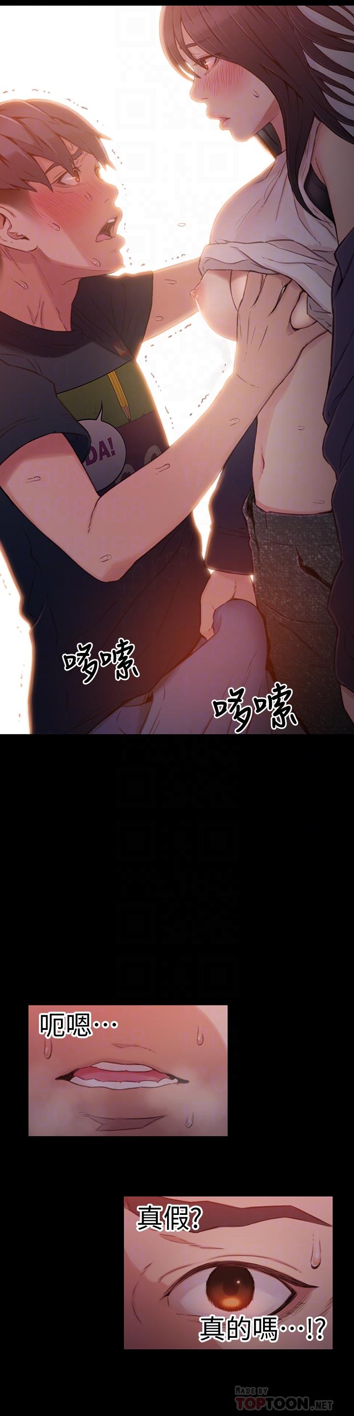 8P - 超导体鲁蛇
