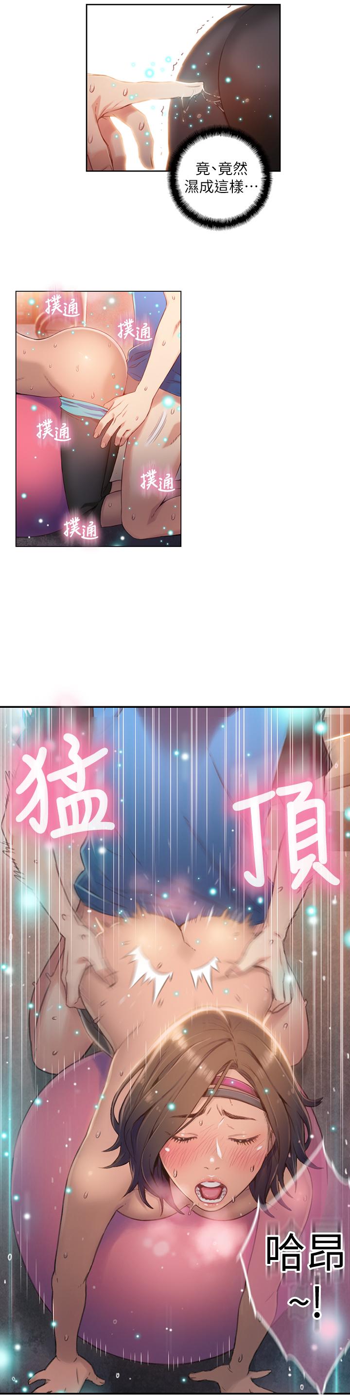 15P - 超导体鲁蛇