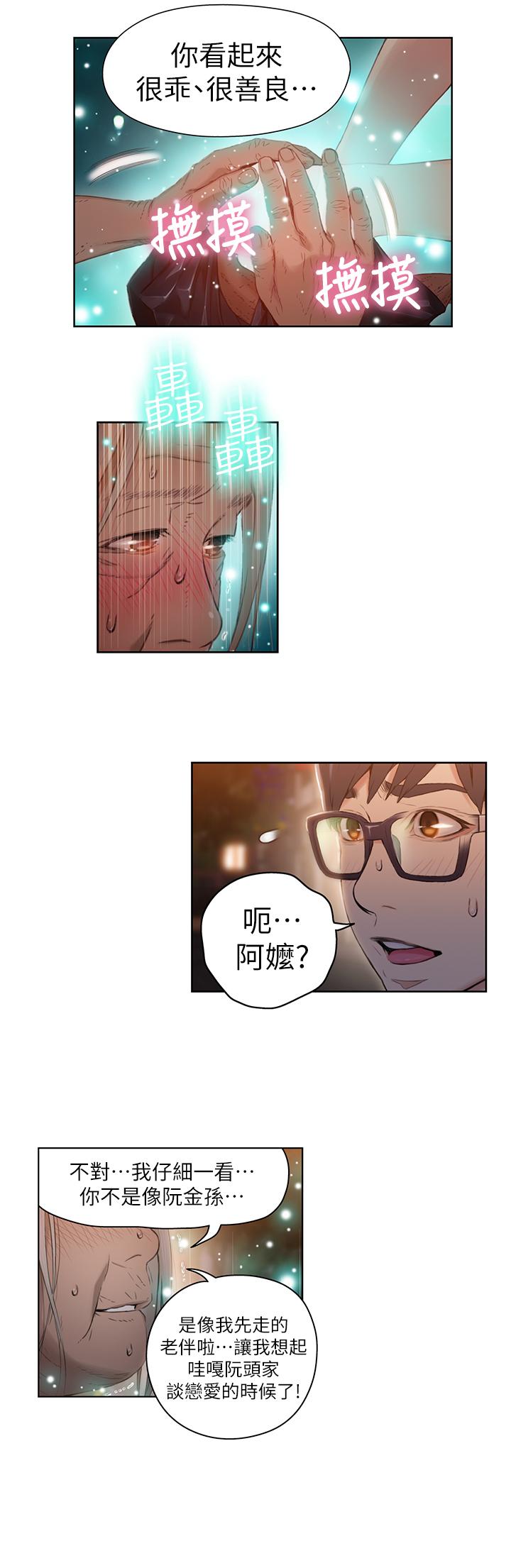 19P - 超导体鲁蛇