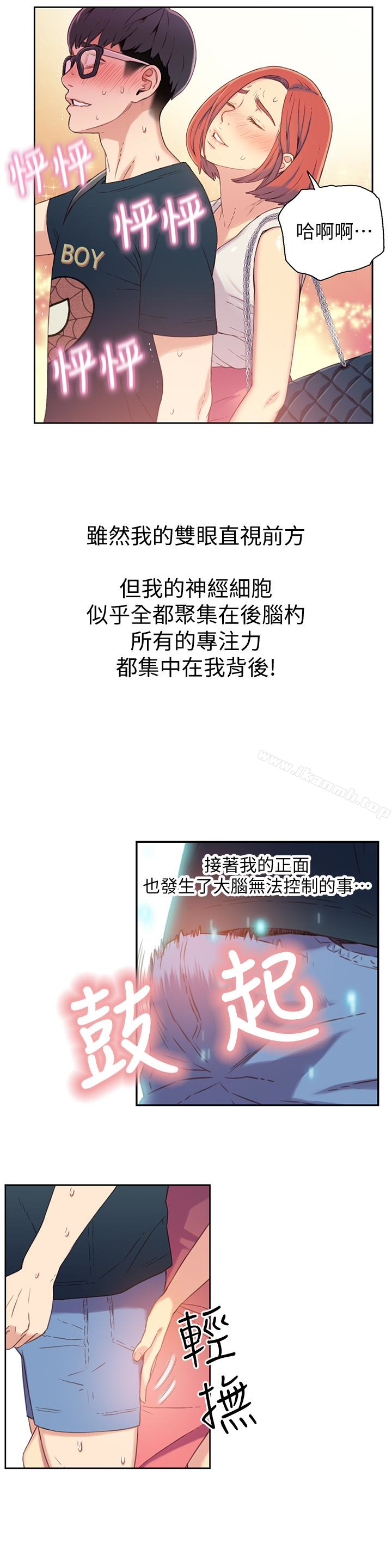 10P - 超导体鲁蛇