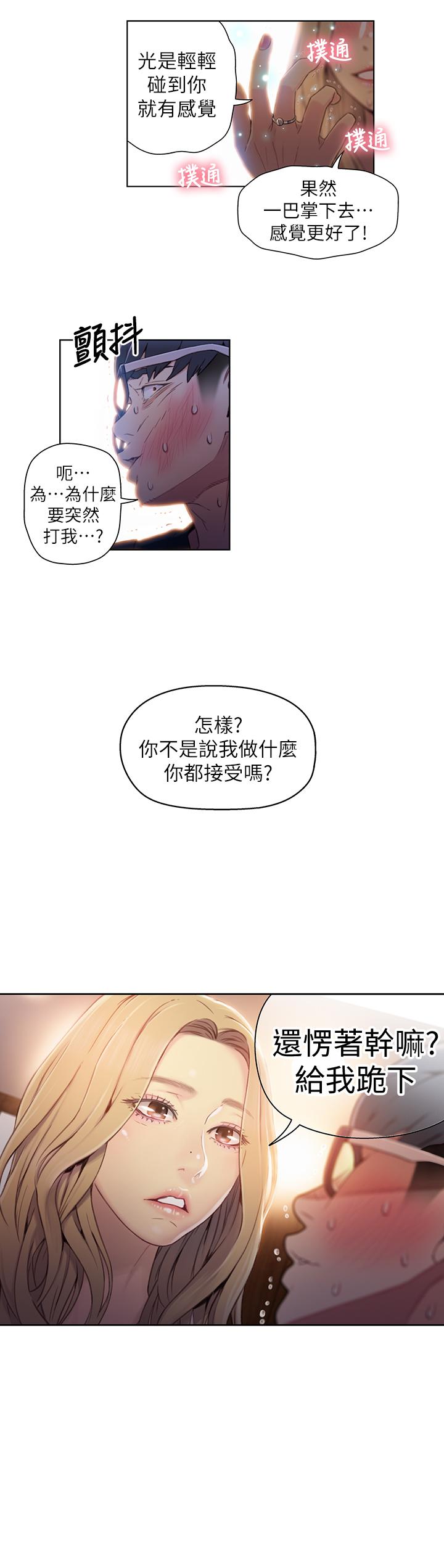 22P - 超导体鲁蛇