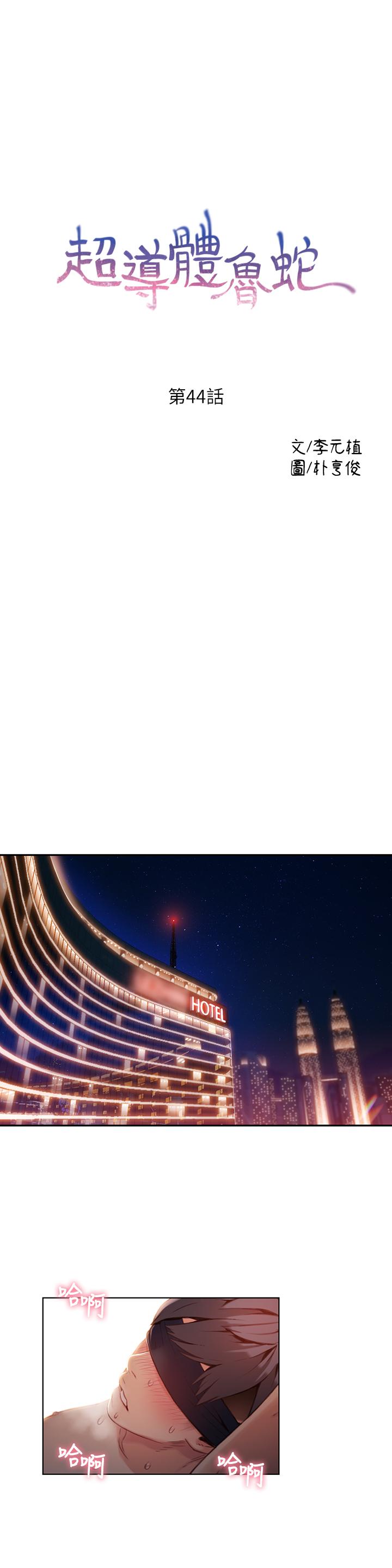 1P - 超导体鲁蛇
