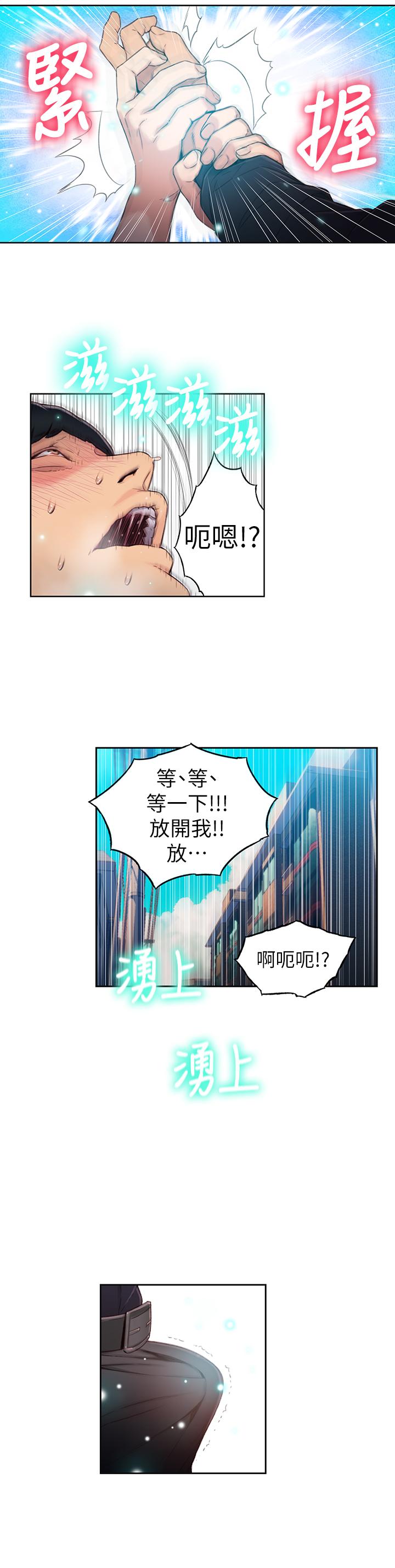 19P - 超导体鲁蛇