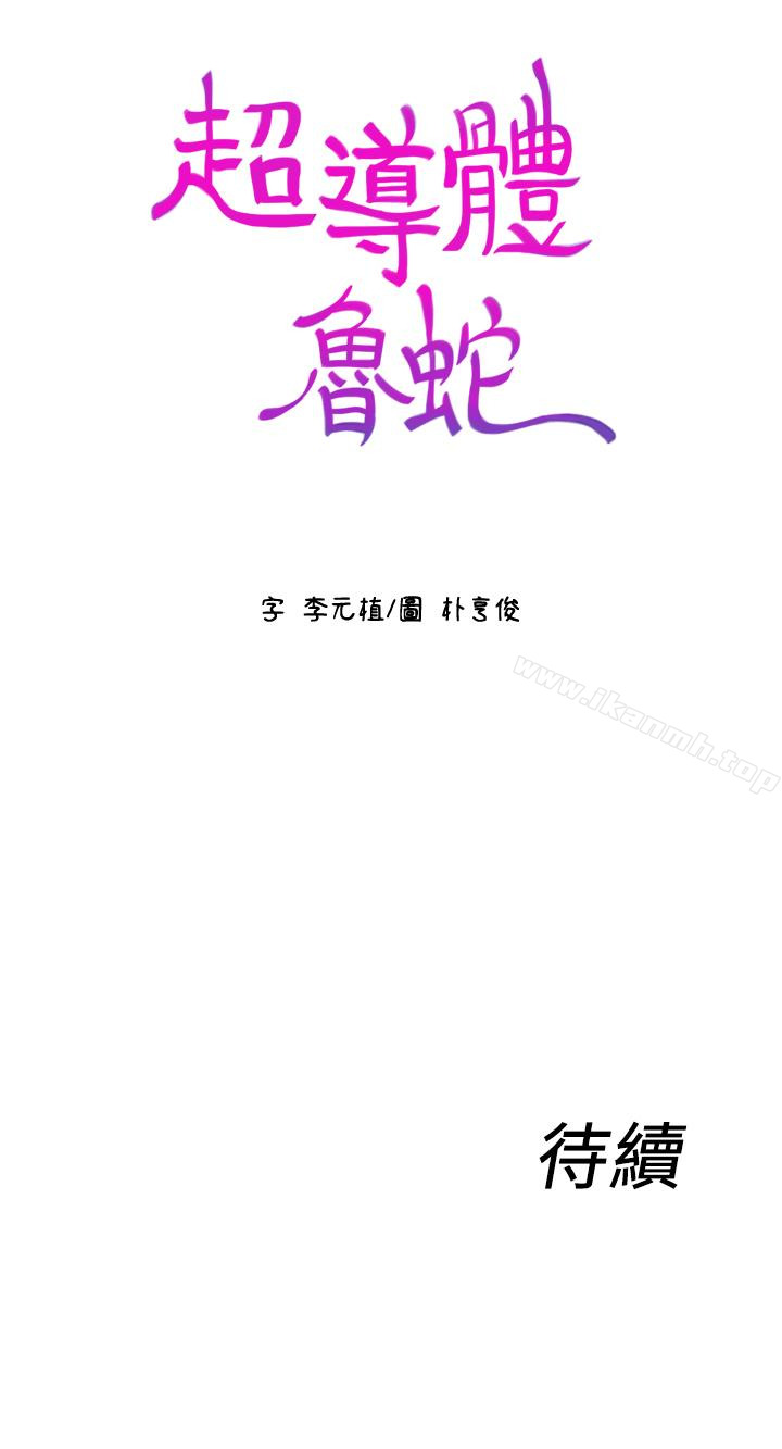 30P - 超导体鲁蛇