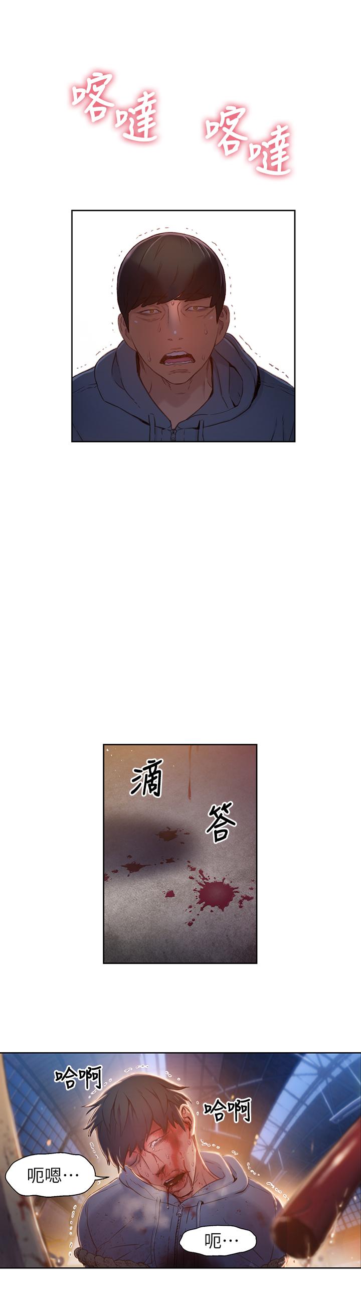 13P - 超导体鲁蛇