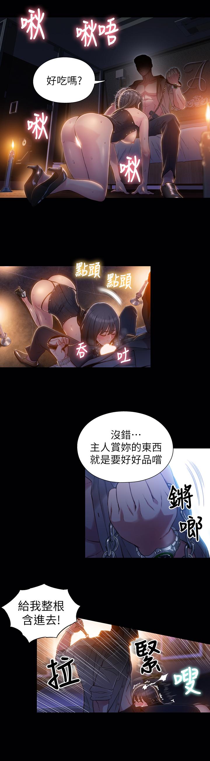 15P - 超导体鲁蛇