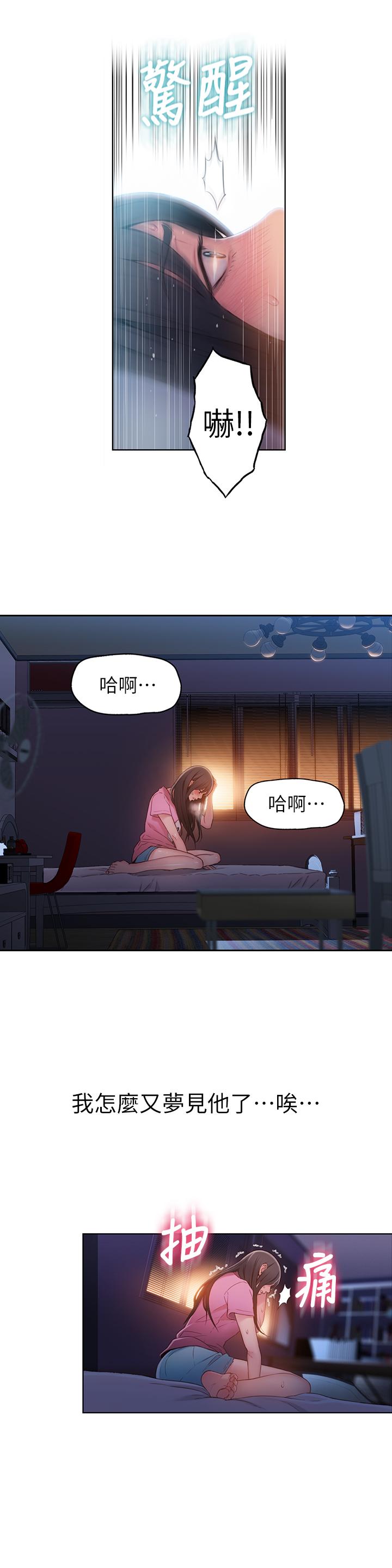 19P - 超导体鲁蛇