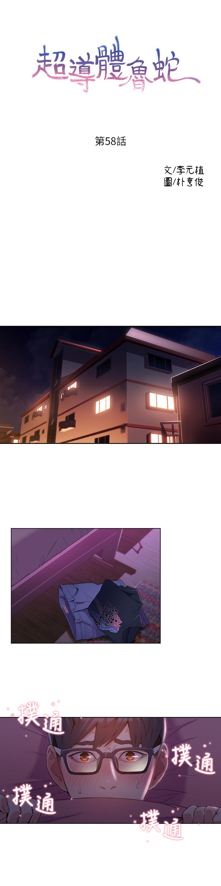 1P - 超导体鲁蛇