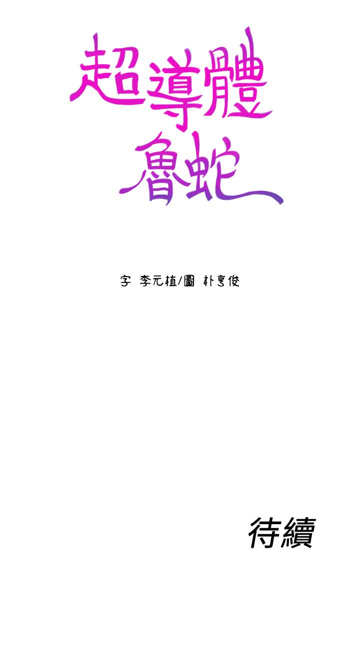 19P - 超导体鲁蛇