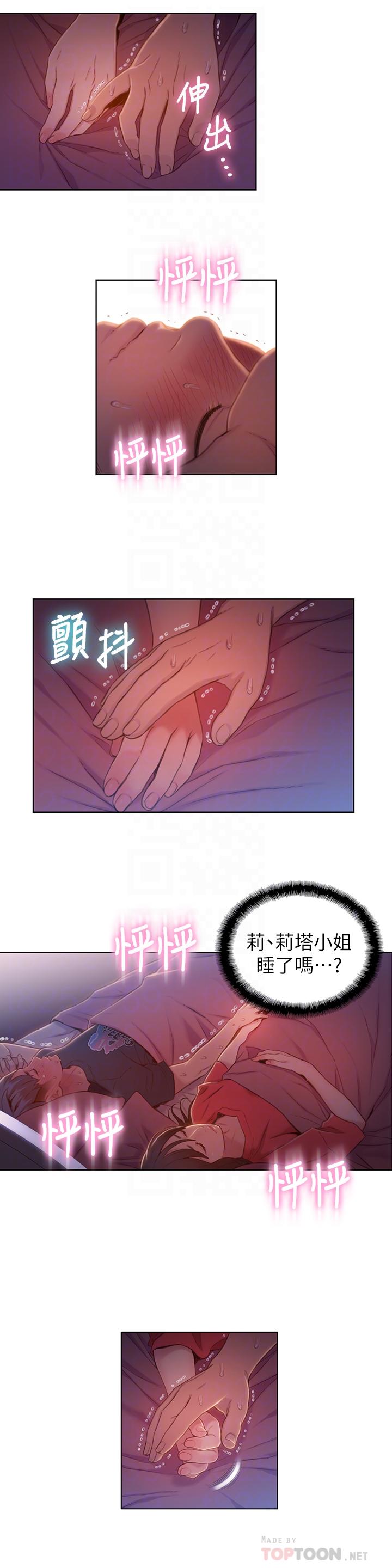 10P - 超导体鲁蛇