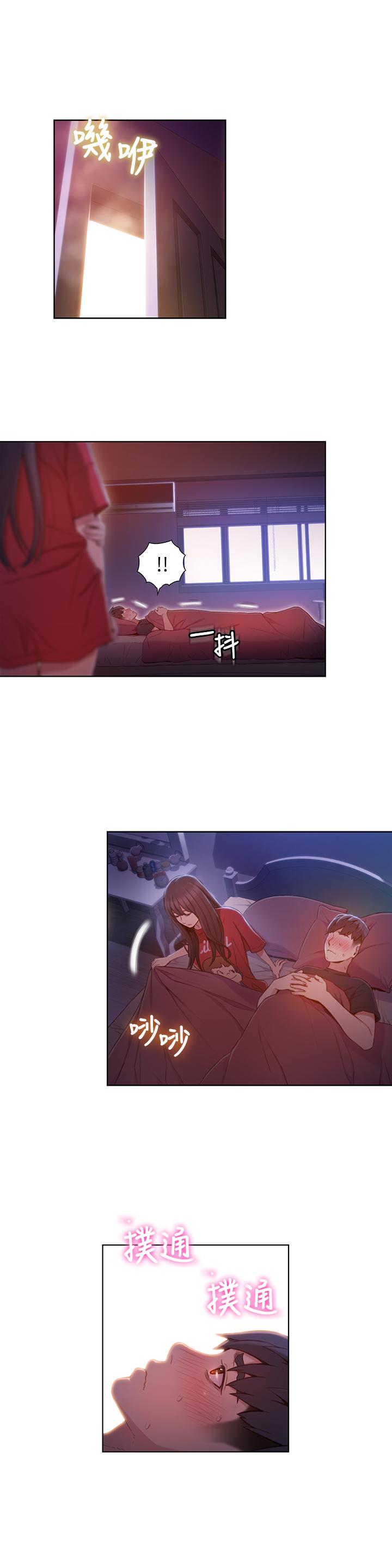 3P - 超导体鲁蛇