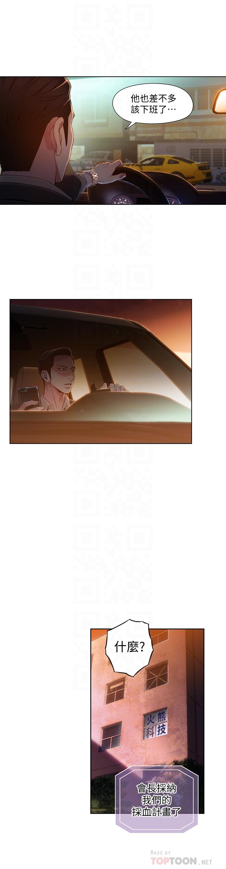 14P - 超导体鲁蛇