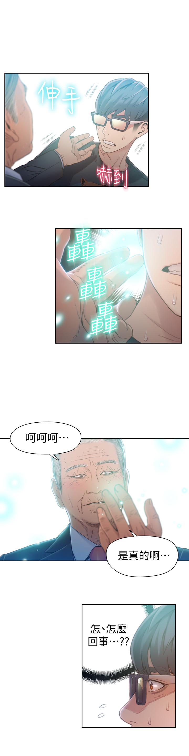 19P - 超导体鲁蛇