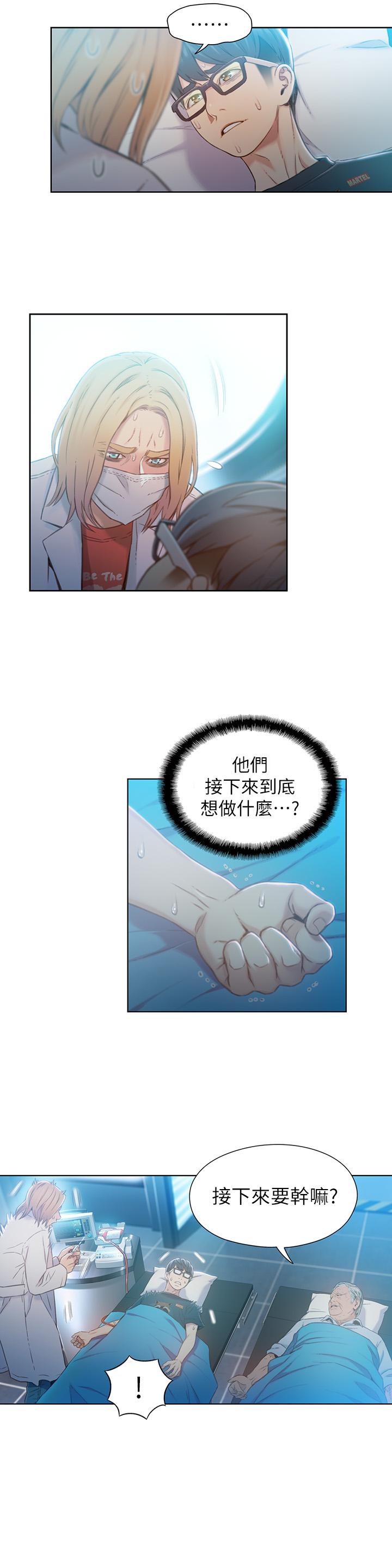 17P - 超导体鲁蛇