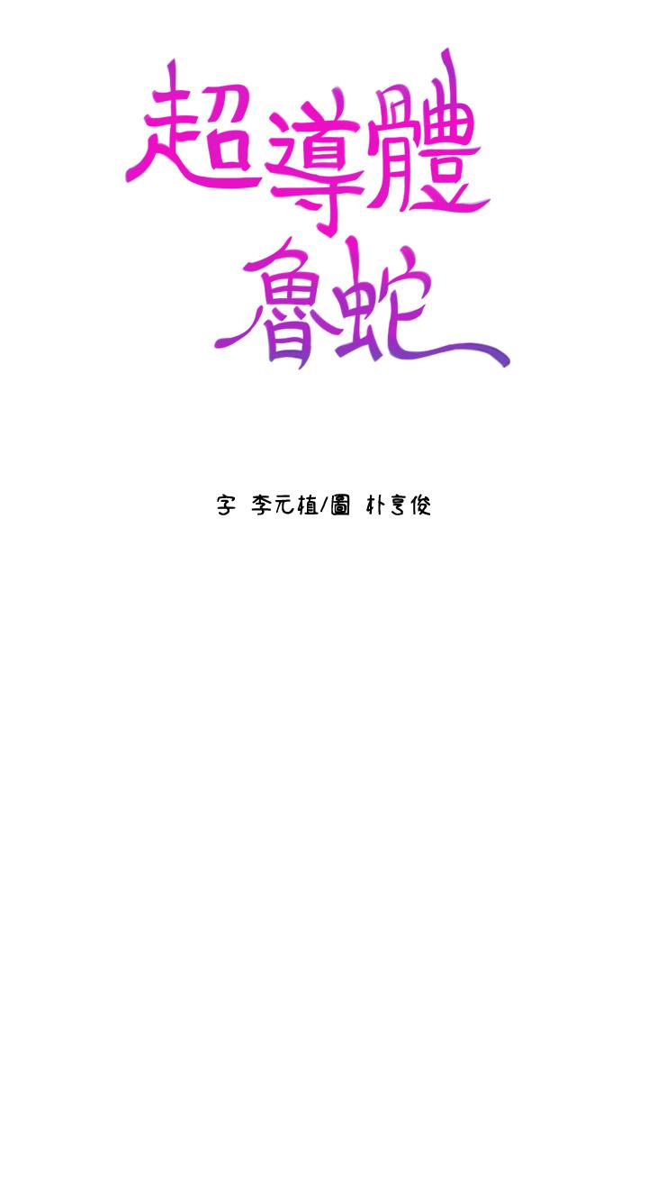 26P - 超导体鲁蛇