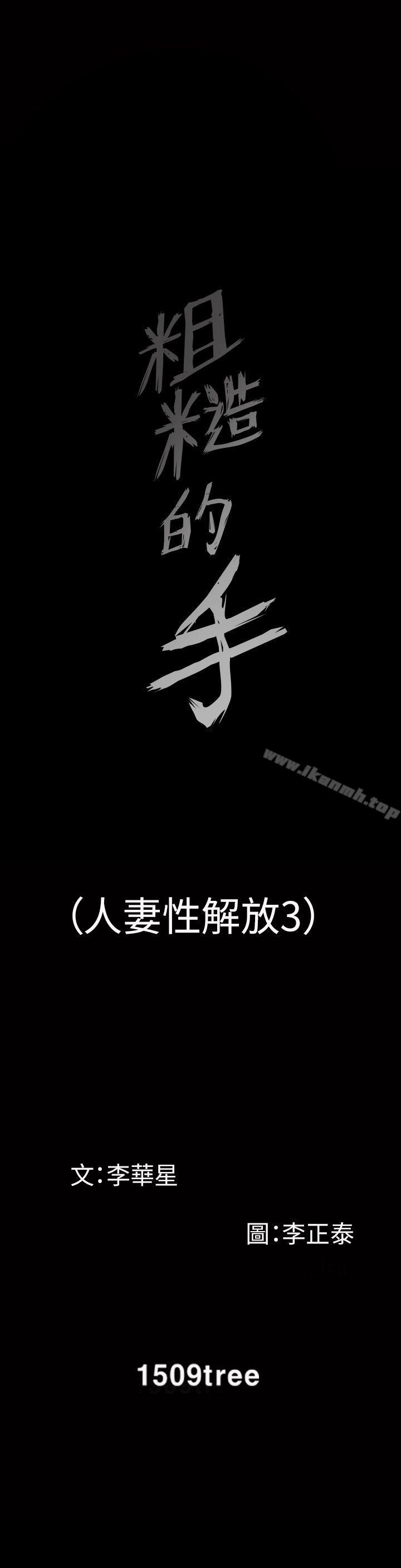 28P - 人妻性解放3:粗糙的手