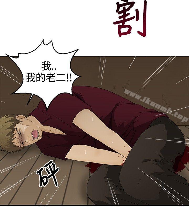 21P - 水蛭