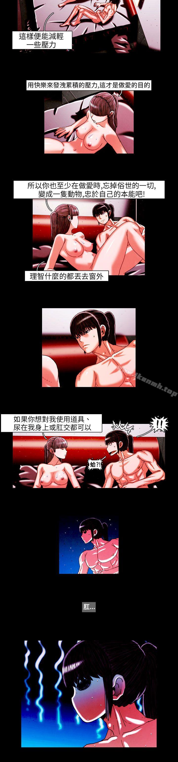 12P - TEAM PLAY(完结)