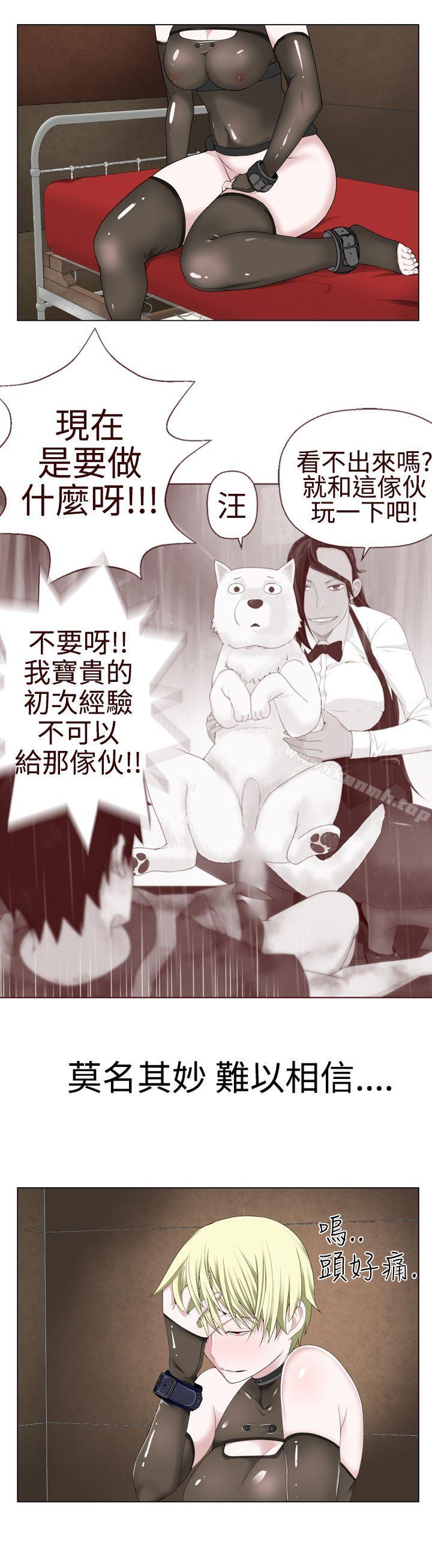 16P - 为爱而生 法兰克赵