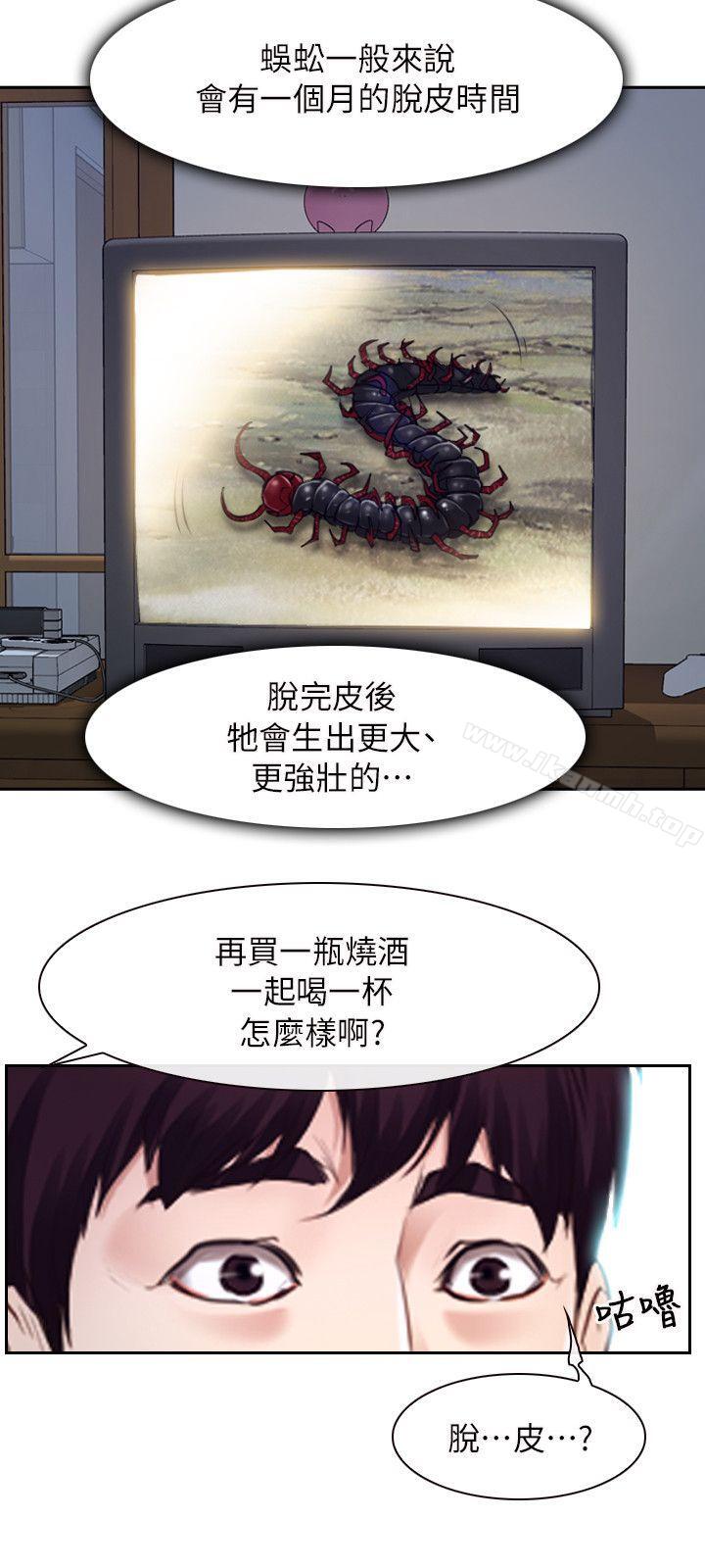 37P - 初恋物语