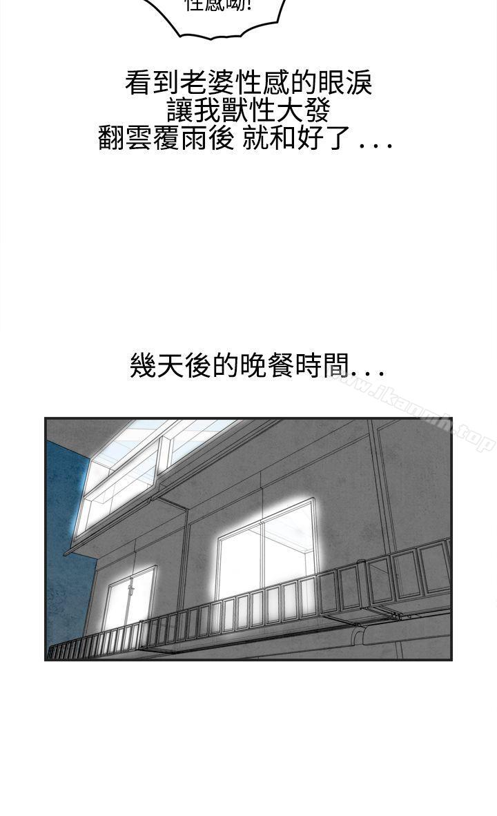 6P - 离婚报告书(完结)