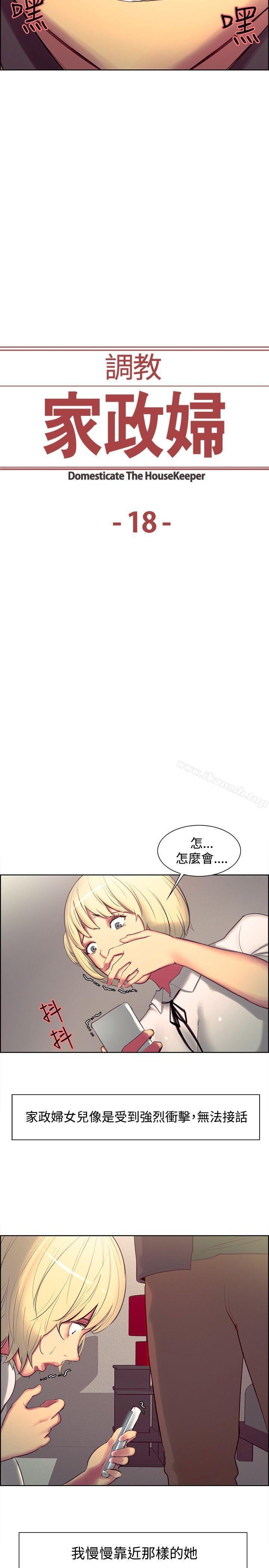 2P - 调教家政妇