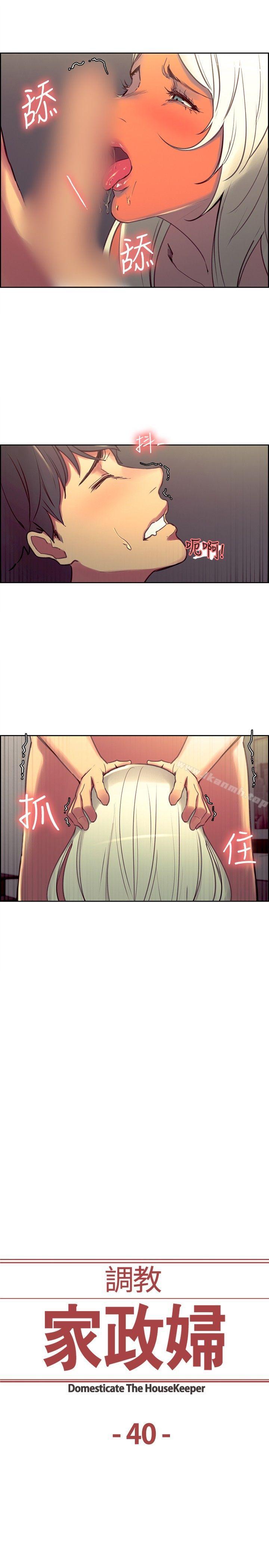2P - 调教家政妇