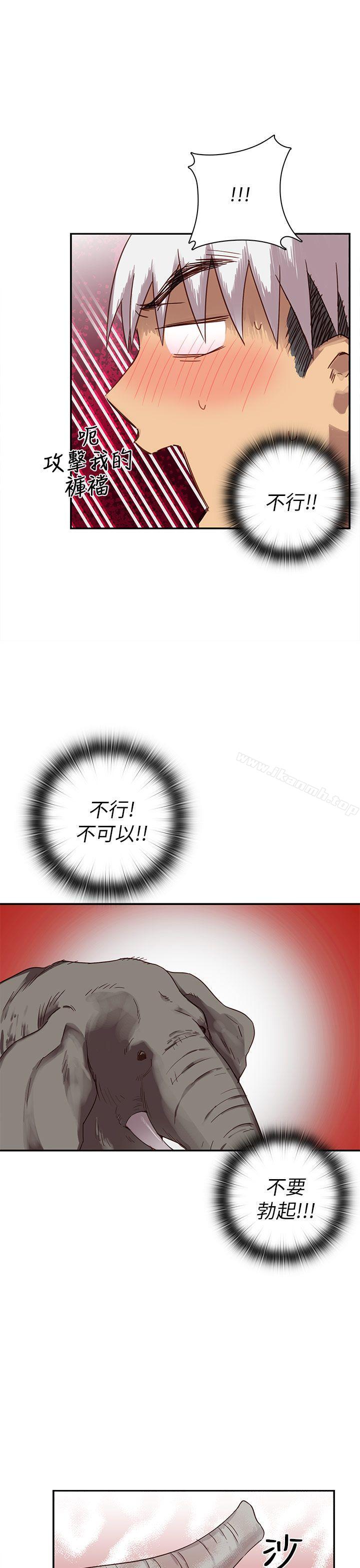 16P - H校园