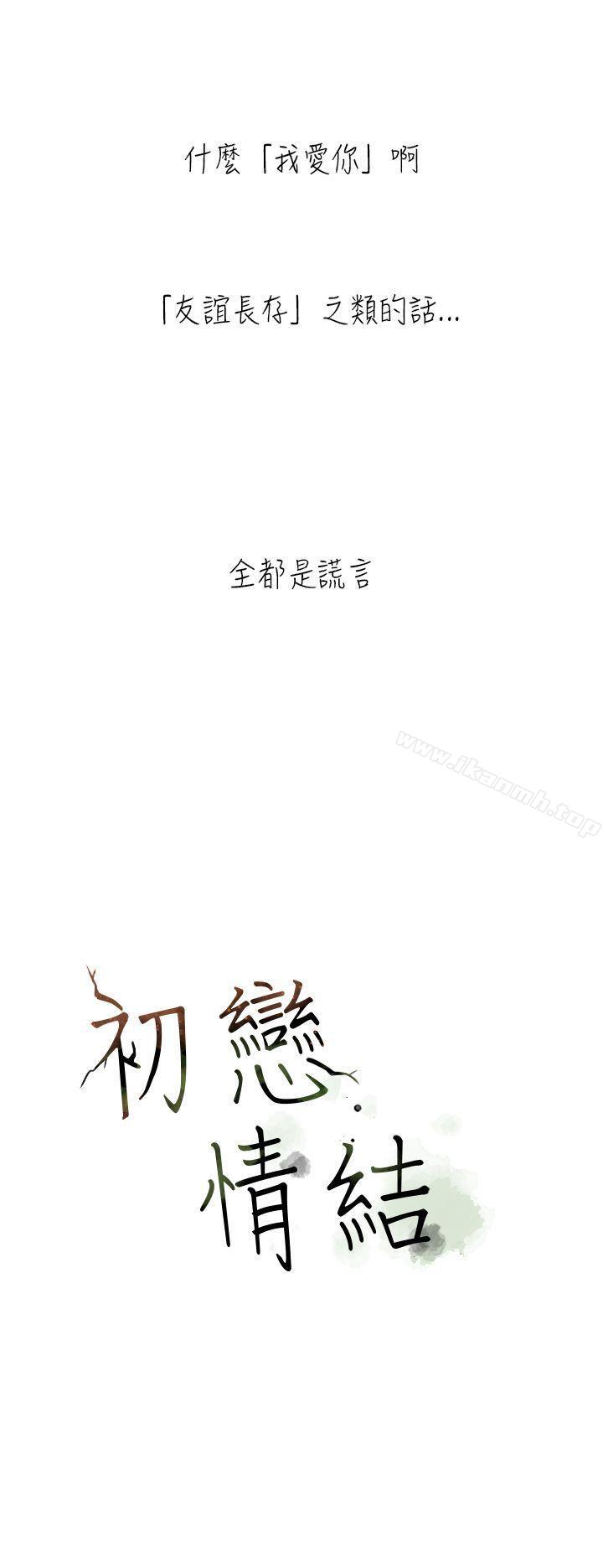 29P - 初恋情结