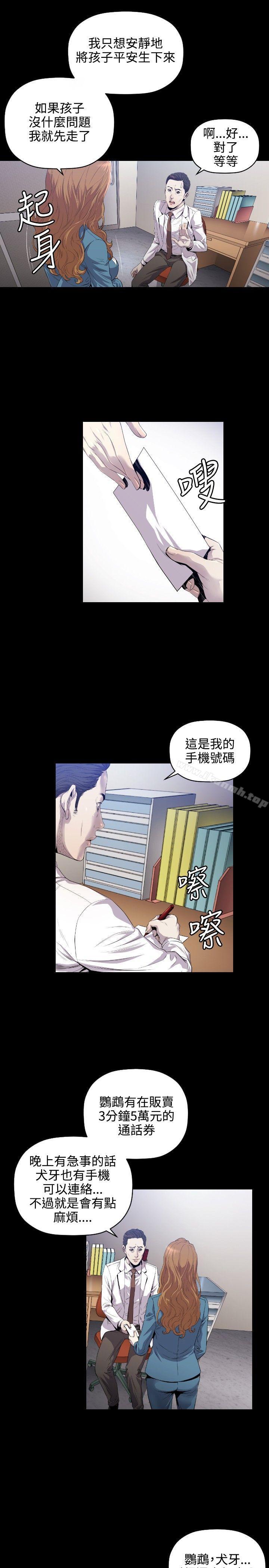 16P - 花冠: 无法盛开的花
