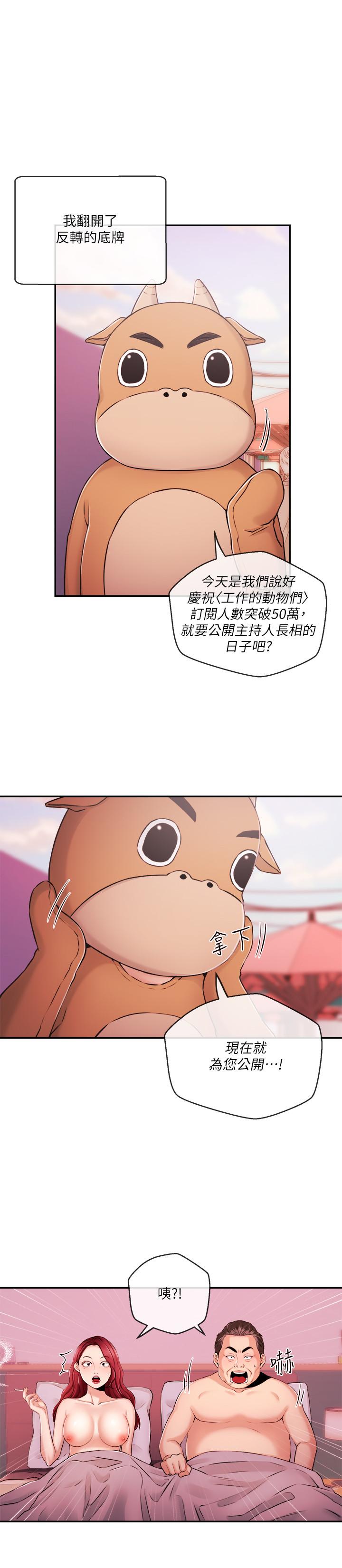 17P - 新闻主播