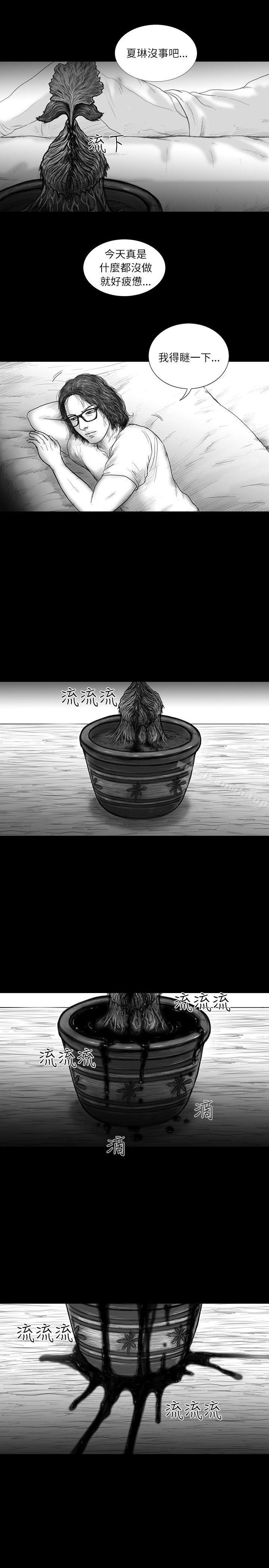 8P - SEED The Beginning
