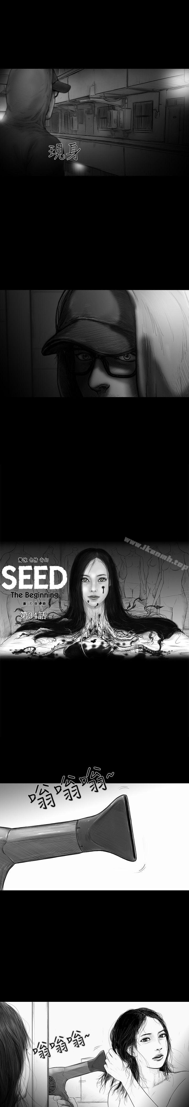 3P - SEED The Beginning