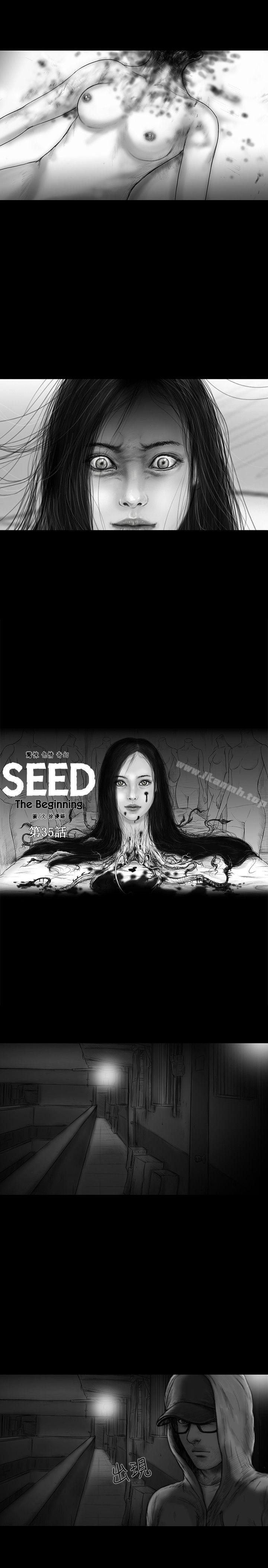 7P - SEED The Beginning