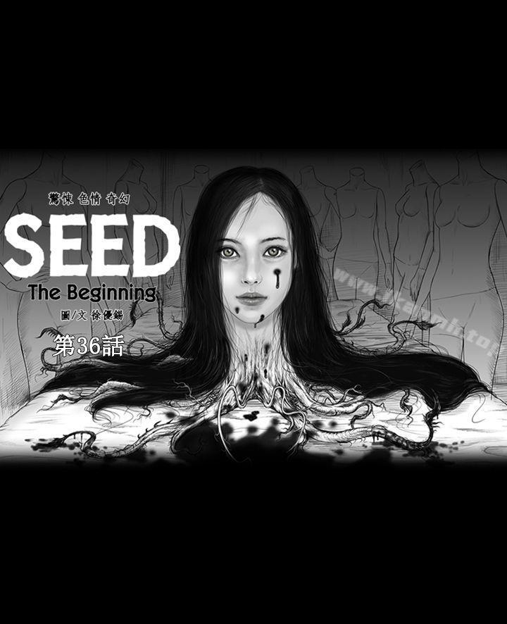 1P - SEED The Beginning