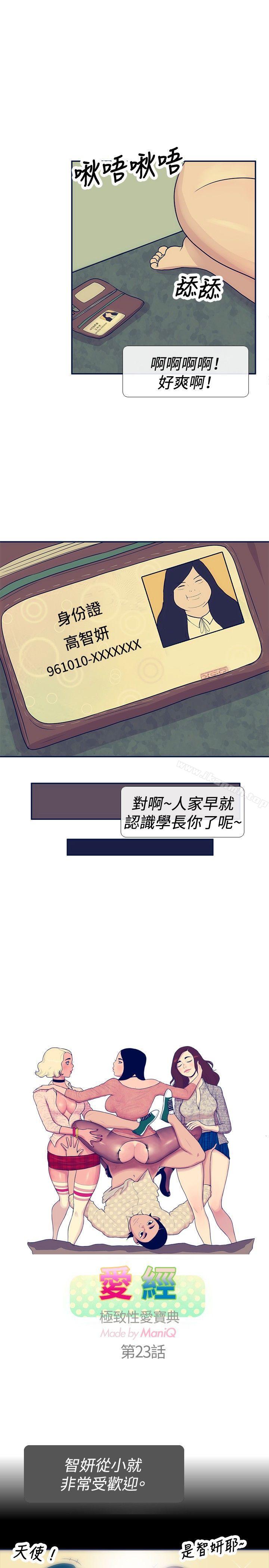 1P - 极致性爱宝典