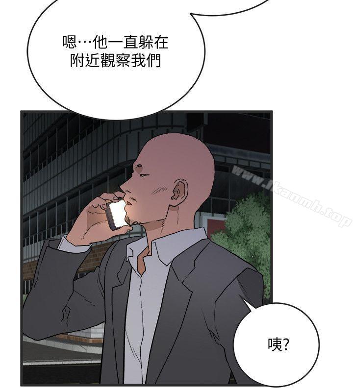 17P - 食物链