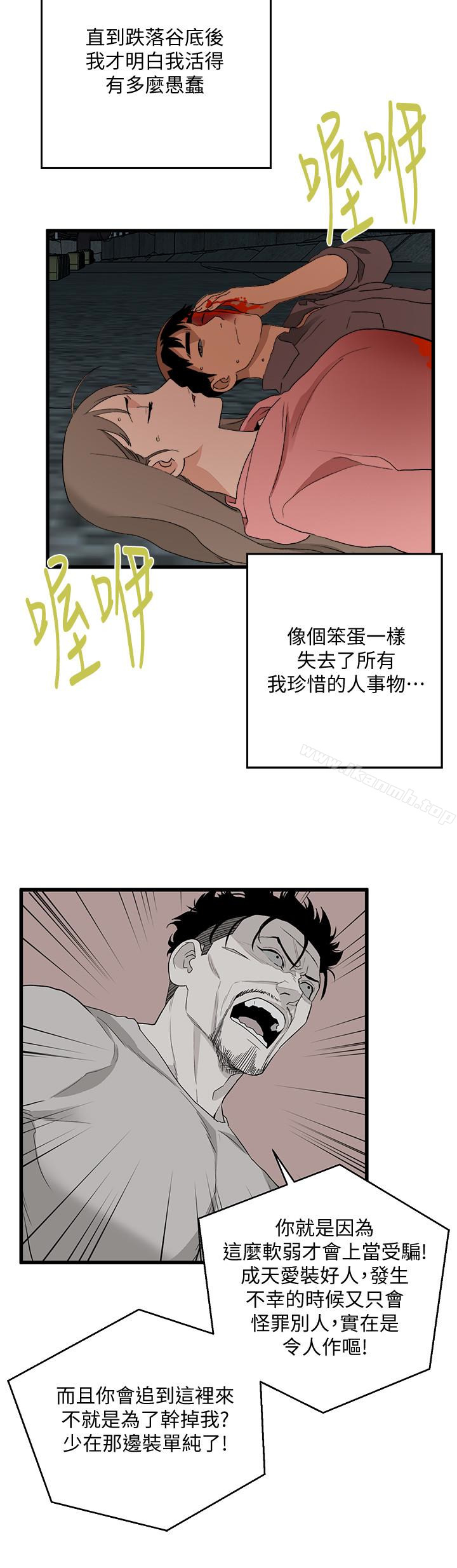 6P - 食物链