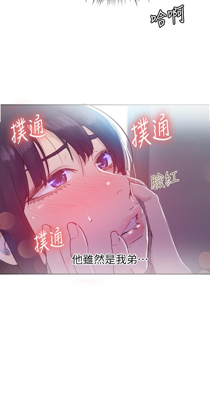 28P - 秘密教学