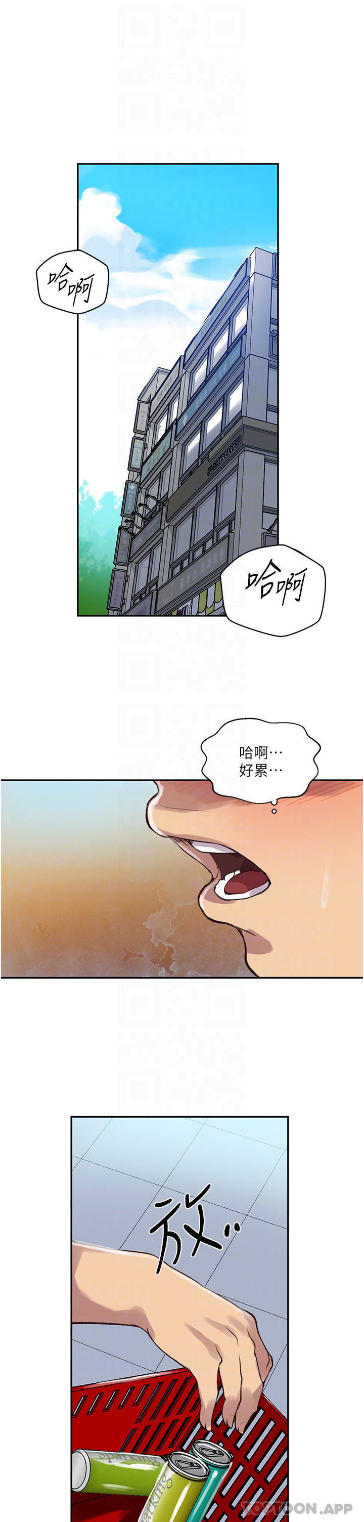 6P - 秘密教学